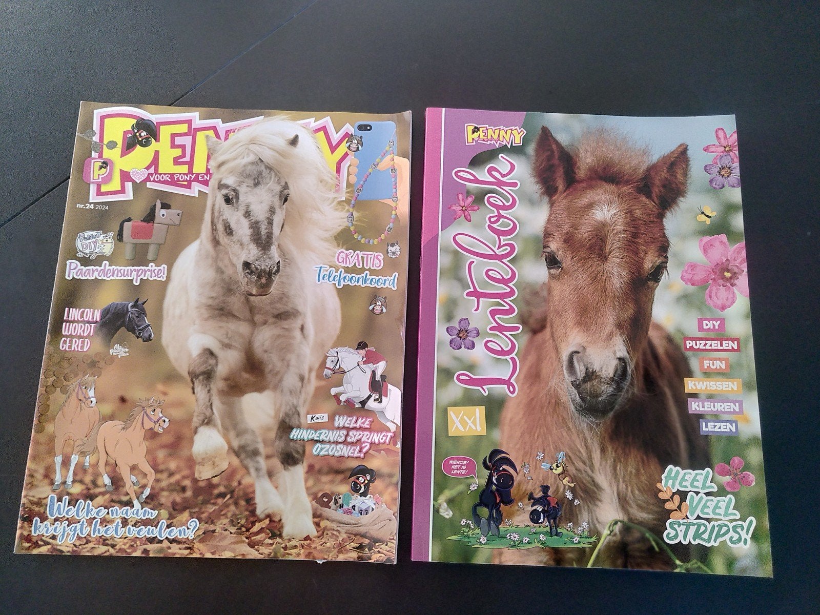 Penny tijdschriften, Ophalen of Verzenden, Nieuw, Overige typen
