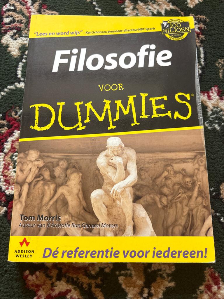 Filosofie voor Dummies - Tom Morris, Boeken, Ophalen of Verzenden, Zo goed als nieuw, Algemeen