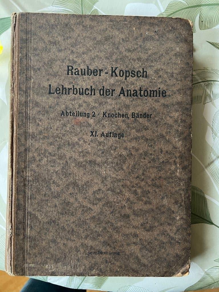 Lehrbuch der Anatomie abt.2 Knochen , Bander Rauber-Kop 1919, Verzenden, Rauber-Kopsch