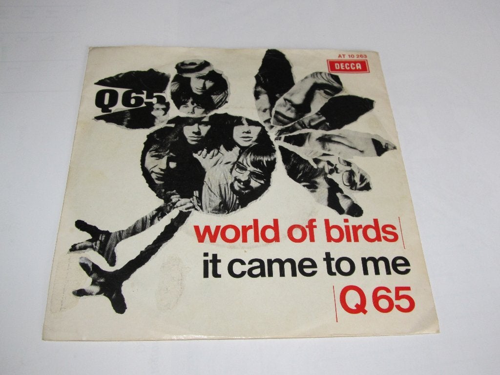 Q65 - World of birds ( single, nederbeat), Cd's en Dvd's, Vinyl Singles, Gebruikt, Verzenden, 7 inch, EP