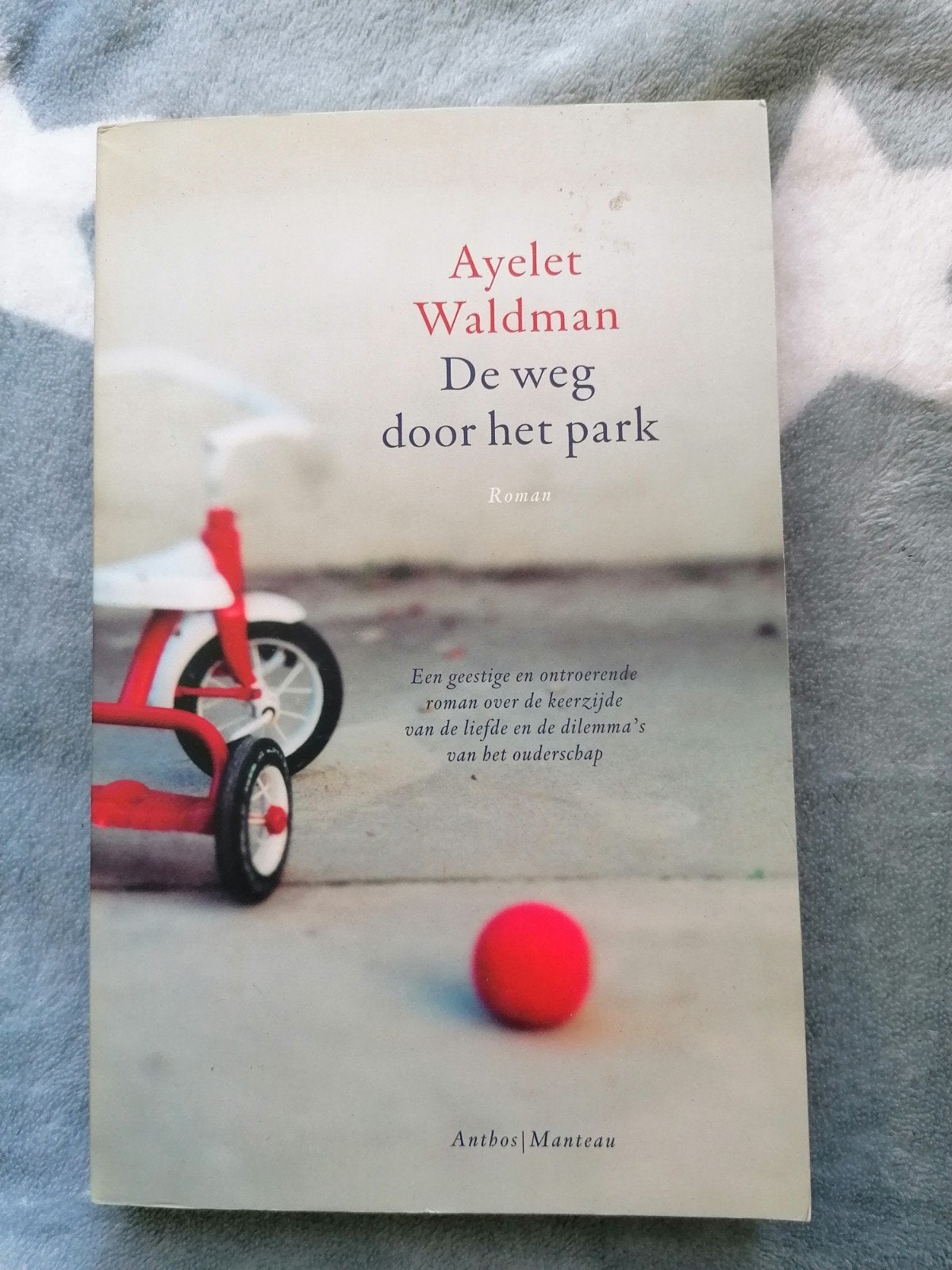 De weg door het park - Ayelet Waldman (Roman), Ophalen of Verzenden, Gelezen, Ayelet Waldman