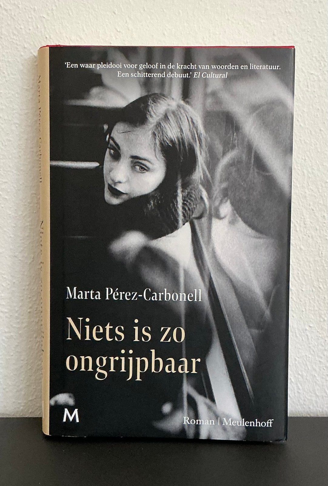 Marta Pérez-Carbonell - Niets is zo ongrijpbaar, Boeken, Ophalen of Verzenden, Zo goed als nieuw, Marta Pérez-Carbonell