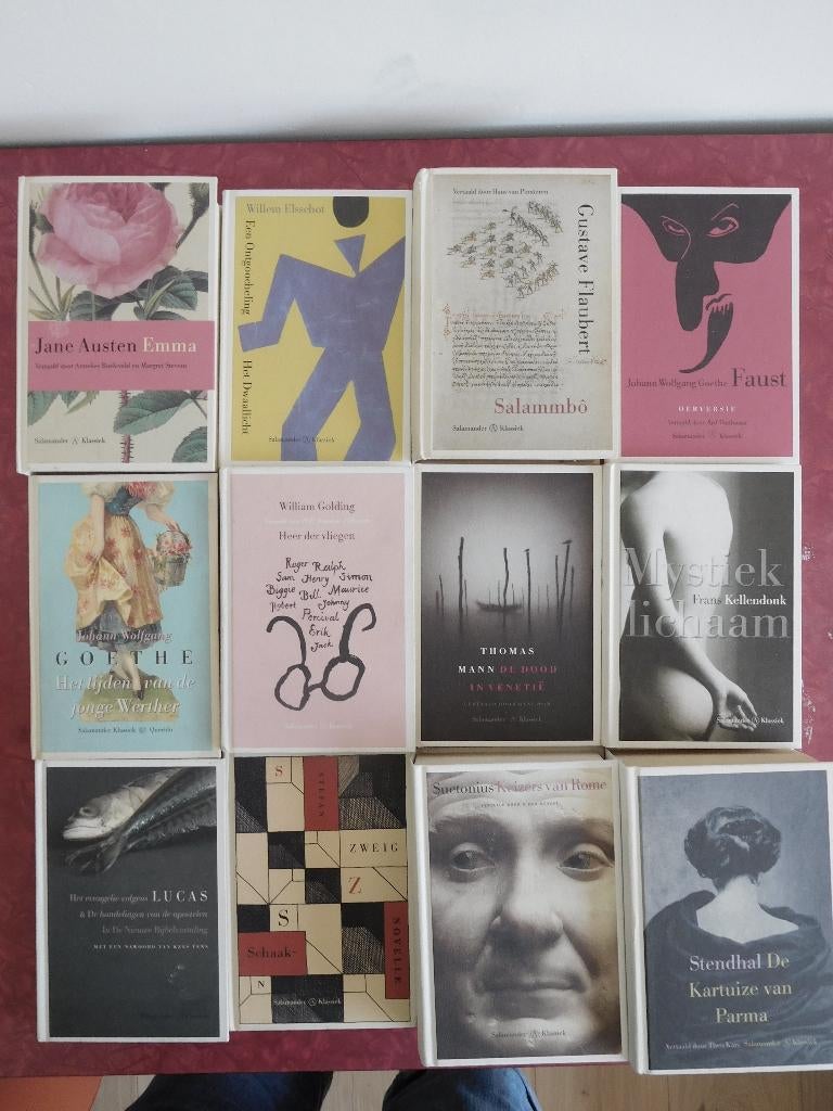 Salamander Klassiek Austen Goethe Suetonius Golding Stendha, Boeken, Ophalen of Verzenden, Gelezen