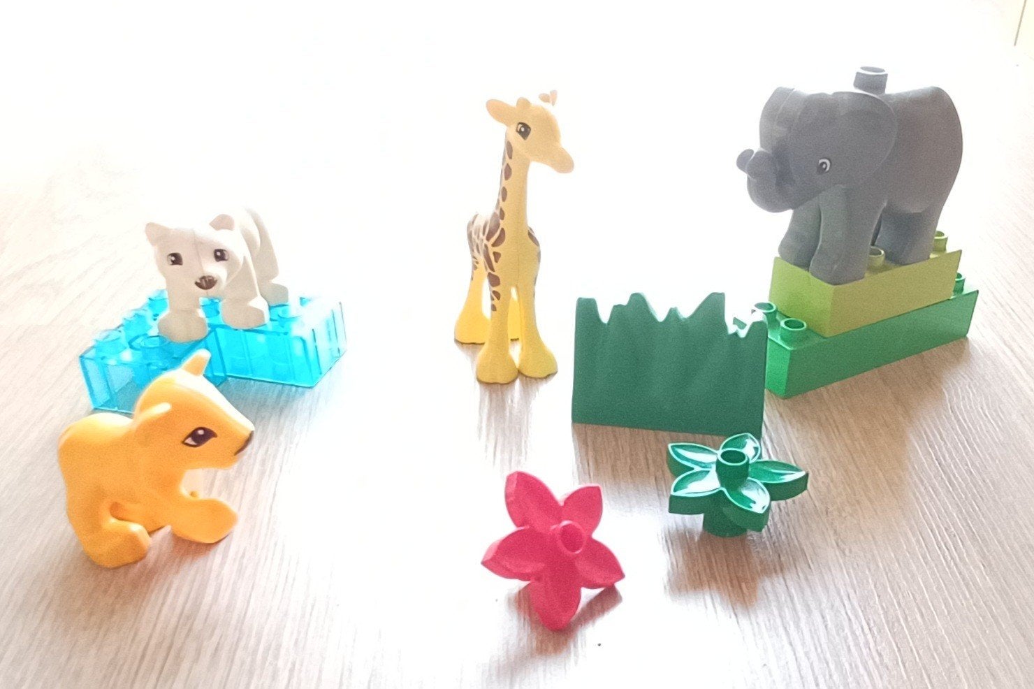 Duplo Dieren: Leeuw, Giraffe, IJsbeer, Olifant met blokken, Ophalen of Verzenden, Gebruikt, Duplo, Overige thema's