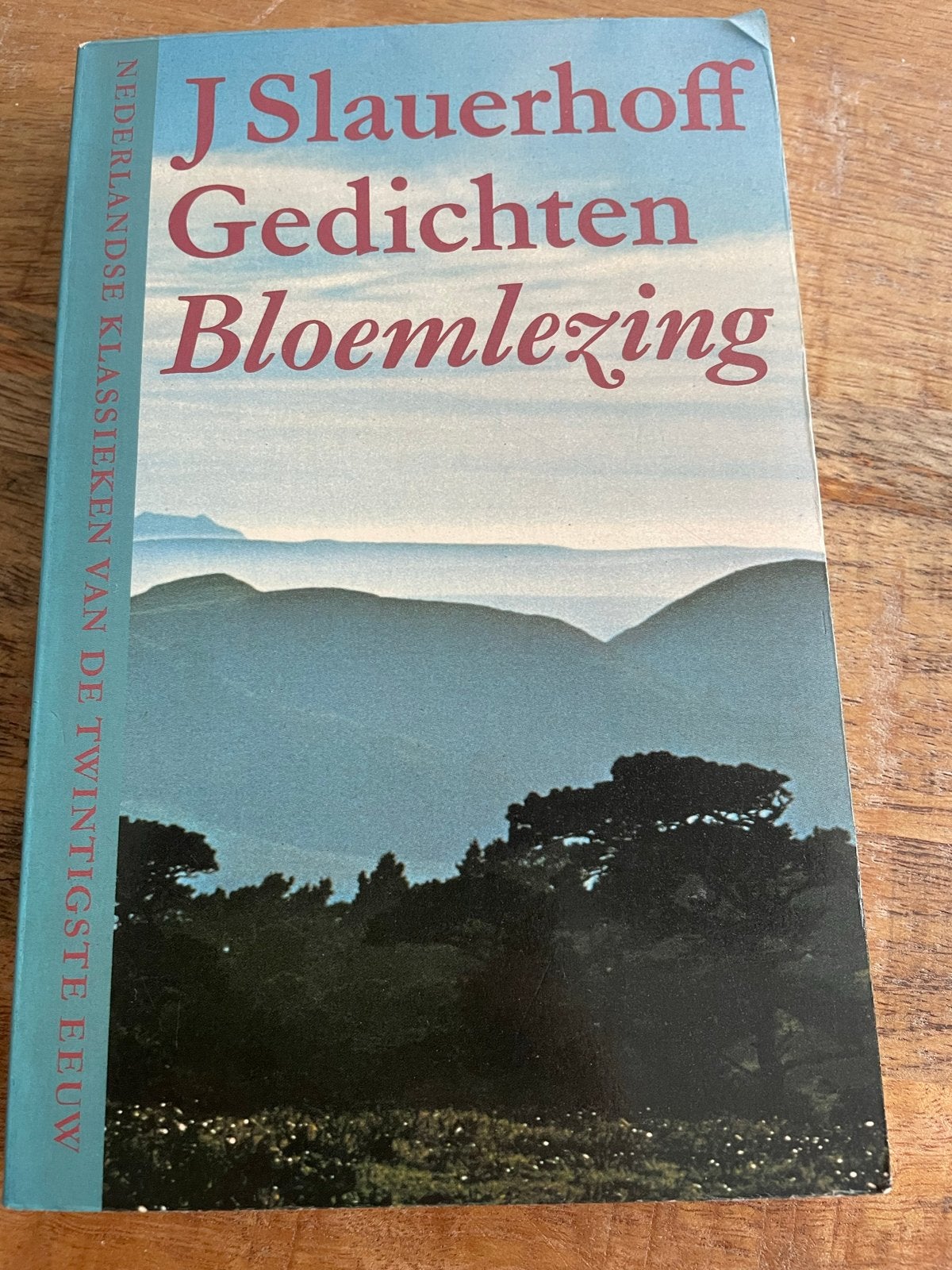 J. Slauerhoff - Gedichten Bloemlezing, Ophalen of Verzenden, Gelezen, Eén auteur
