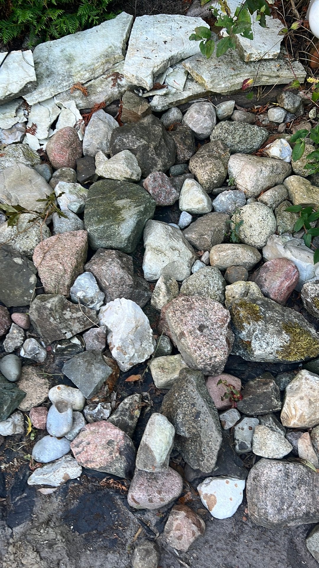 Zwerfkeien, bol, balstenen voor vijver en of tuin, Tuin en Terras, Vijvers, Ophalen