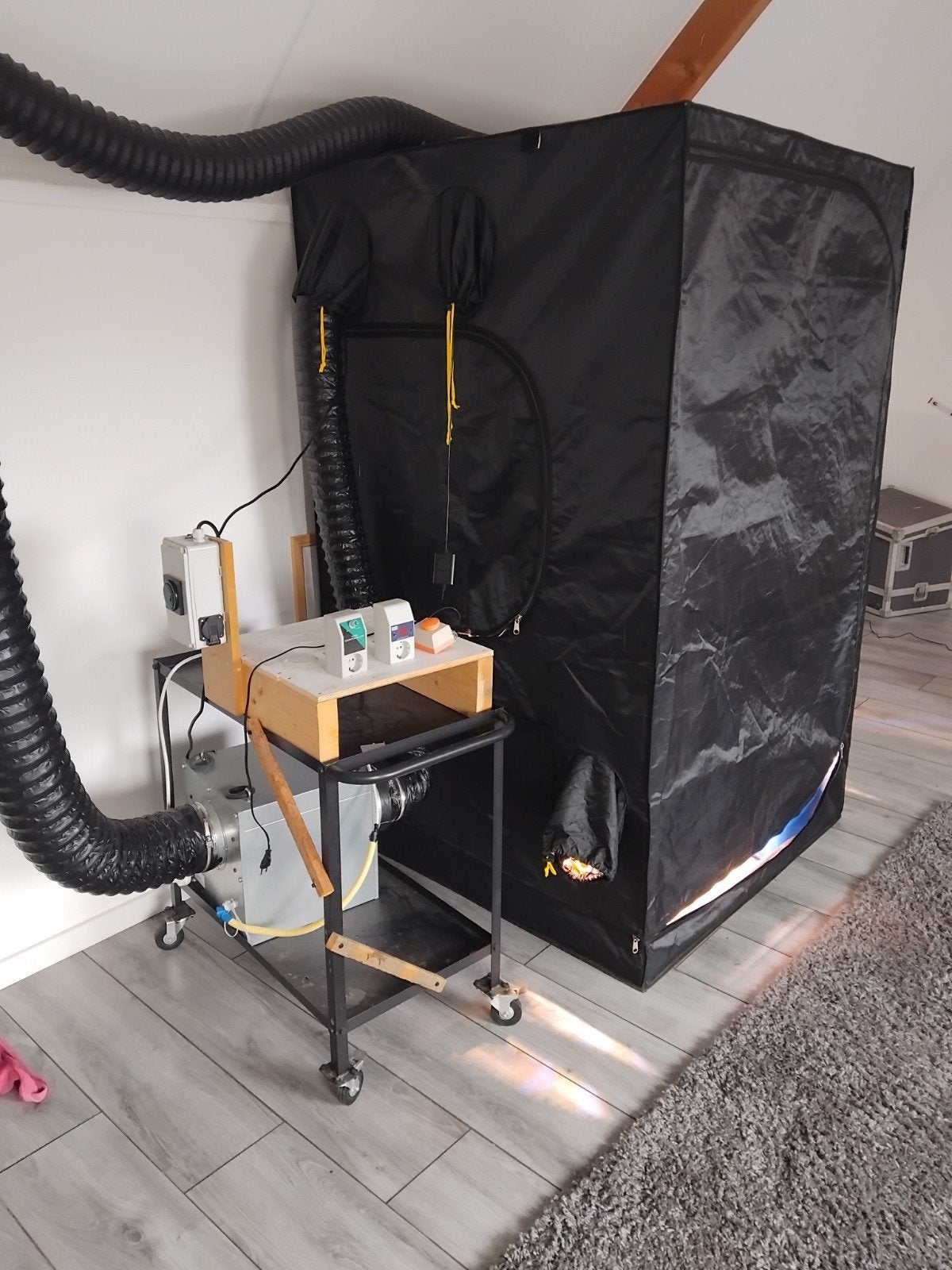 Kweektent Mammoth 120pro (120 x 120 x 200) en alle toebehore, Ophalen, Zo goed als nieuw, Kweektent