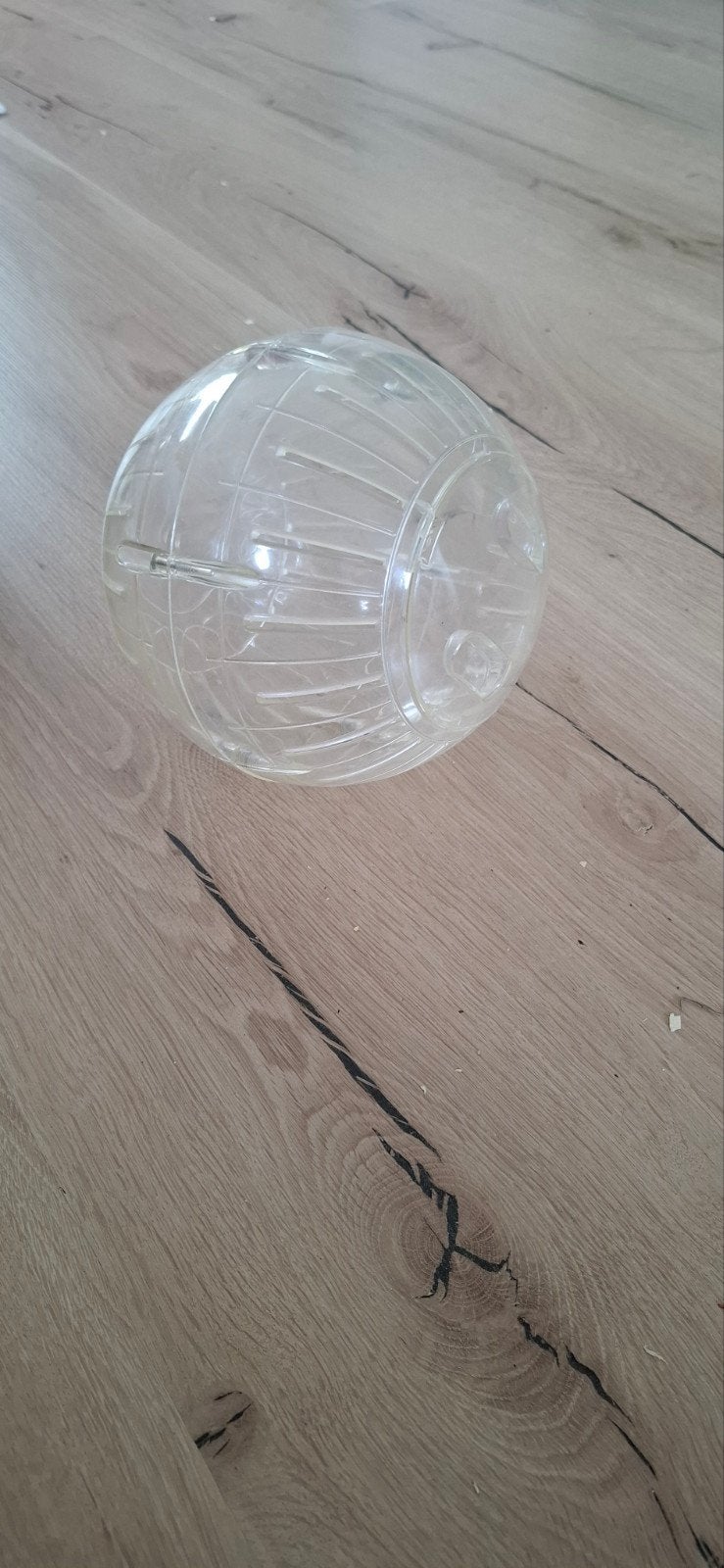 Hamsterbal groot, Dieren en Toebehoren, Ophalen, Gebruikt