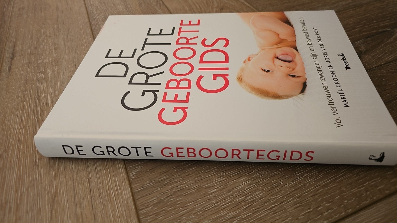 De Grote Geboortegids: Vertrouwd zwanger en bewust bevallen, Ophalen of Verzenden, Zo goed als nieuw, Zwangerschap en Bevalling