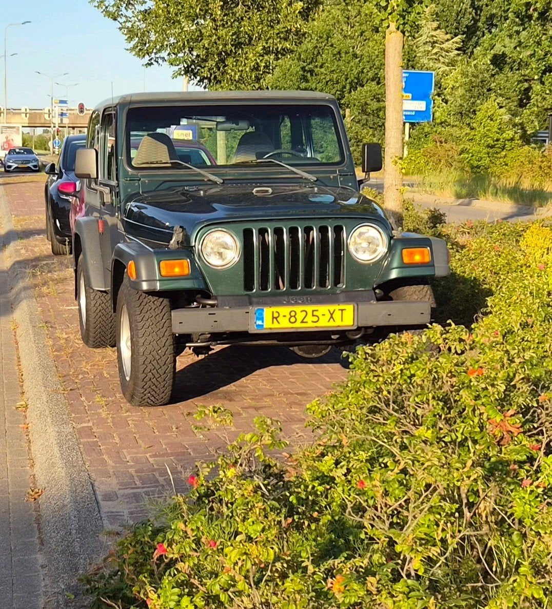 Jeep Wrangler TJ Sport 2.5 LPG G3 bj 2000 Groen, Auto's, Jeep, 118 pk, 4 cilinders, 2000 kg, 4 stoelen