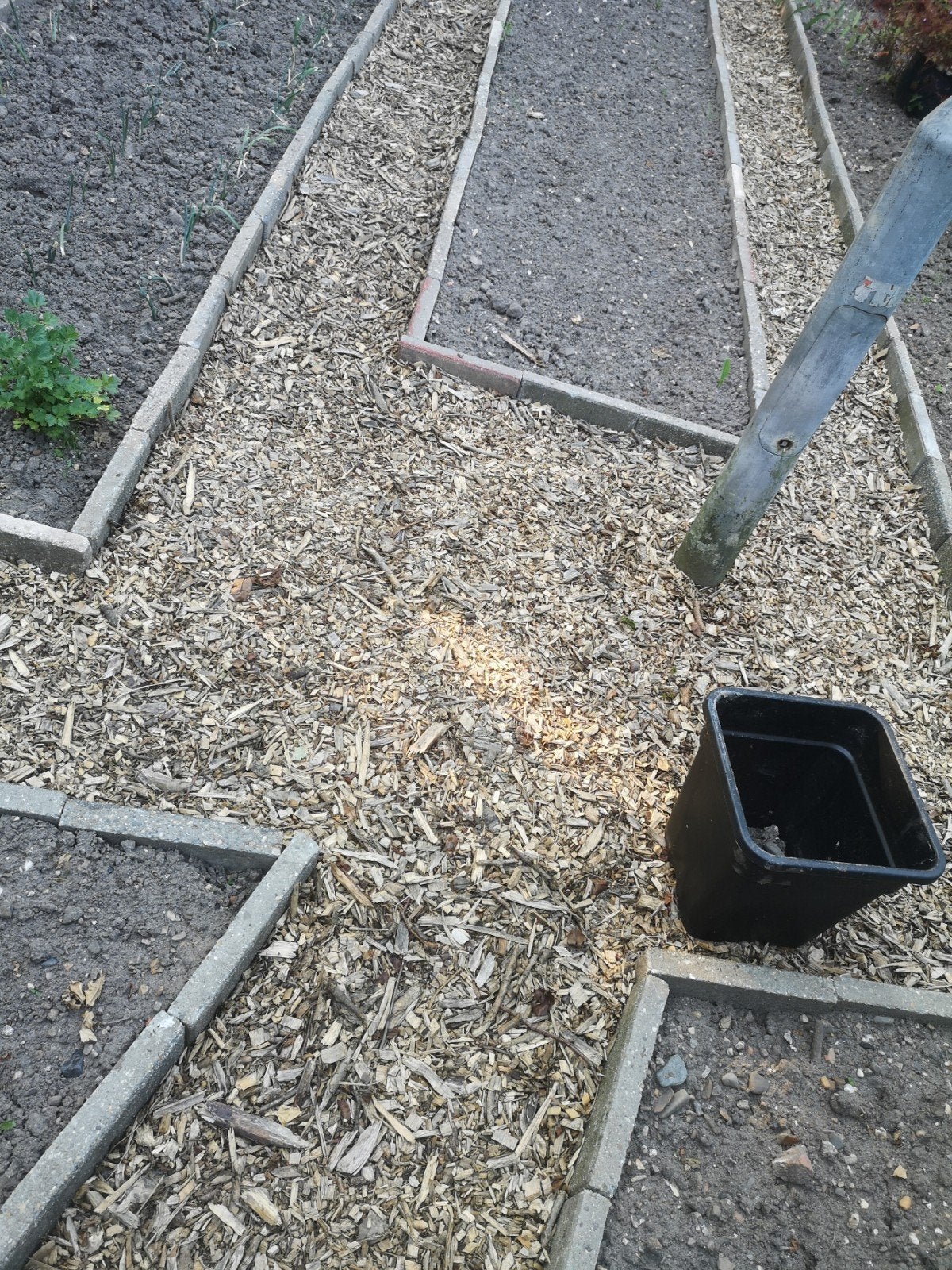 Houtsnippers, mulch, bodembedekker., Ophalen, Nieuw, Overige typen
