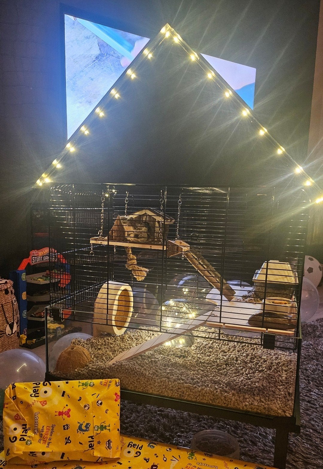 De leukste hamsterkooi, Ophalen, Overige typen