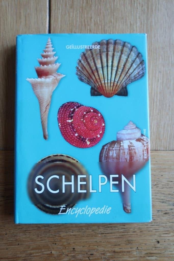 Schelpen encyclopedie Auteur: R.H. de Bruyne, Ophalen of Verzenden, Zo goed als nieuw, Natuur algemeen