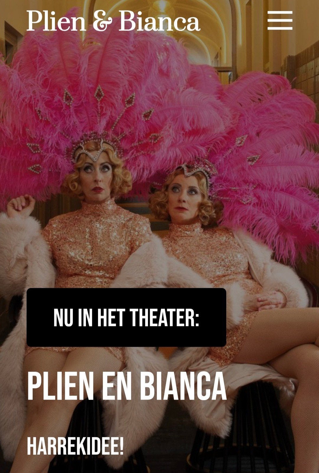 2 Tickets  Plien en Bianca 20 juni , Rotterdam, Tickets en Kaartjes, Theater | Toneel, Dans en Opera, Twee personen, Juni