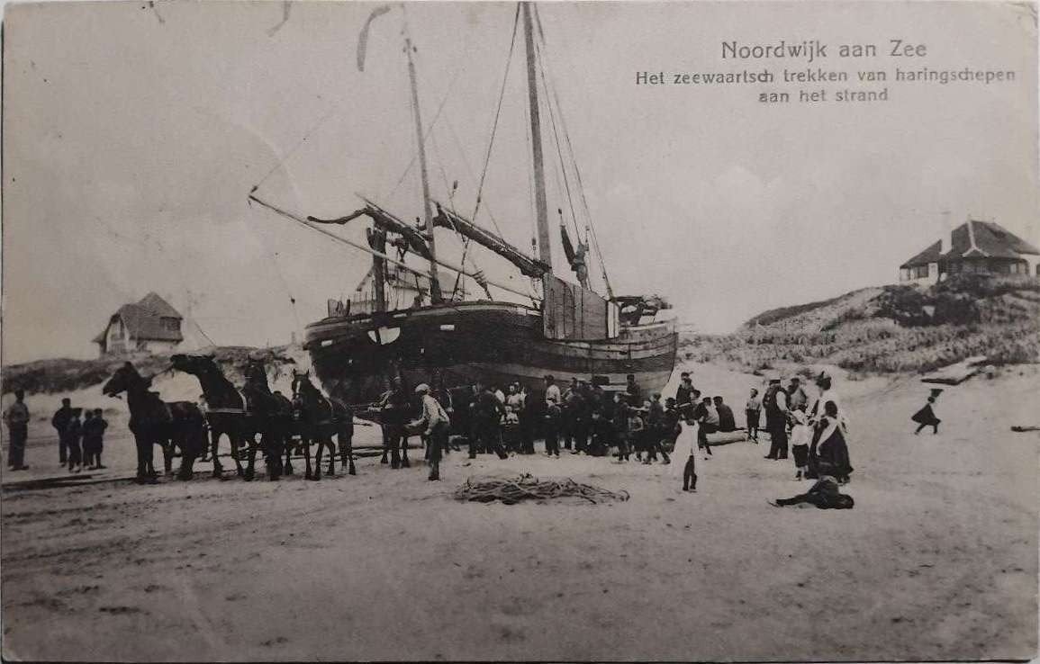 Noordwijk aan Zee (1914) – Haringschepen trekken met paarden, Ophalen of Verzenden, Voor 1920, Gelopen, Zuid-Holland