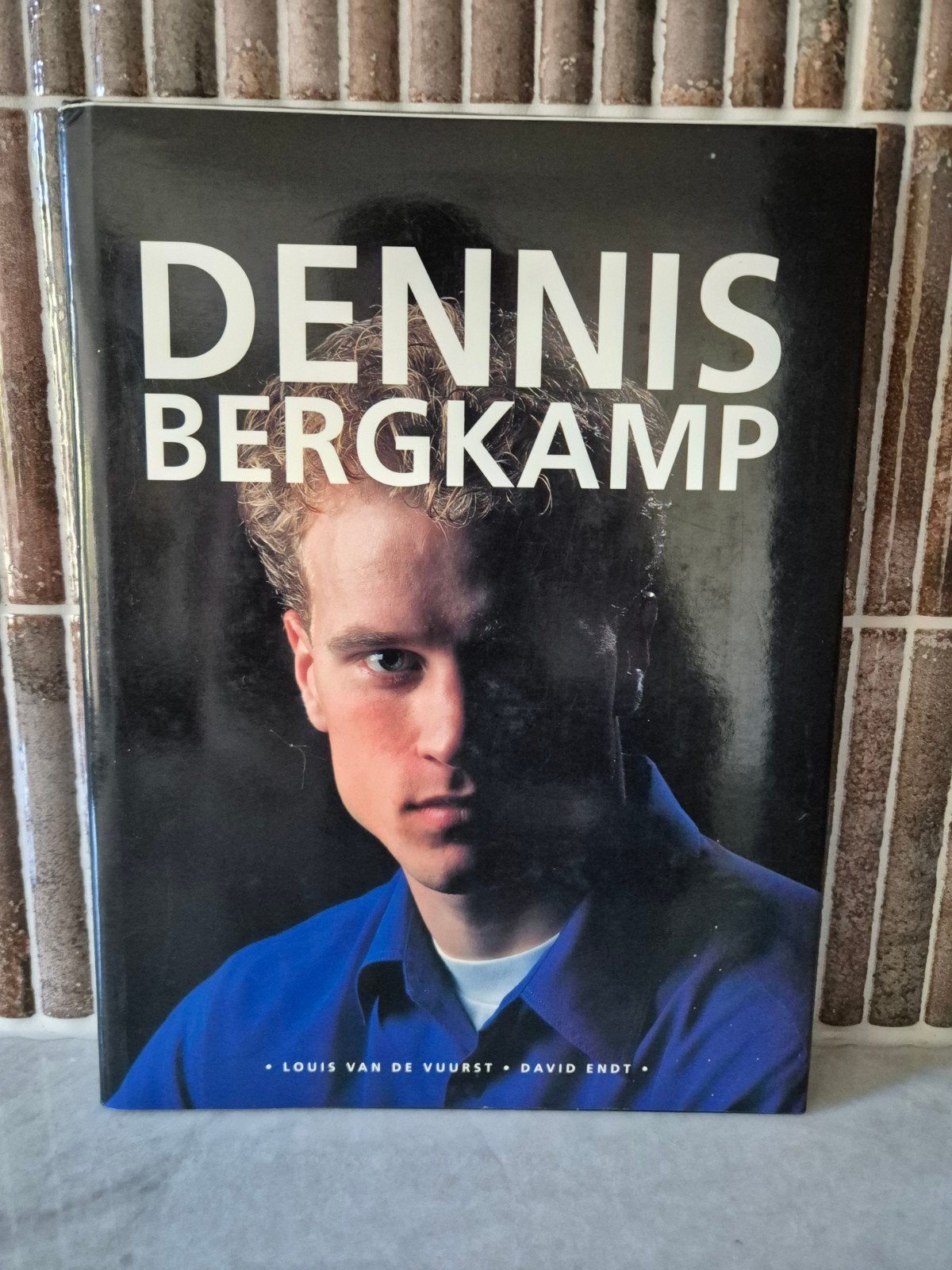 Dennis Bergkamp Hardcover Biografie - Louis van de Vuurst &, Ophalen of Verzenden, Zo goed als nieuw, Louis van de Vuurst, David Endt
