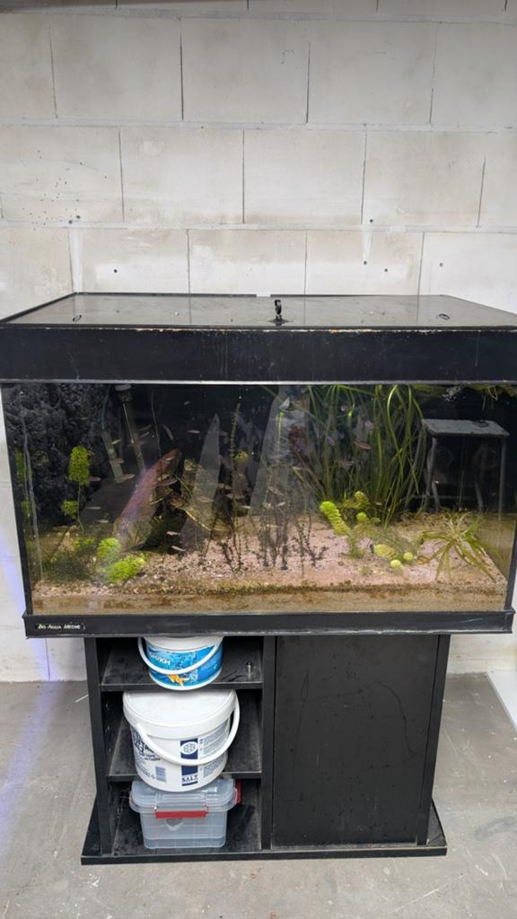 Zeeaquarium, zoetwater aquarium met bioloog. Gratis., Ophalen, Leeg aquarium