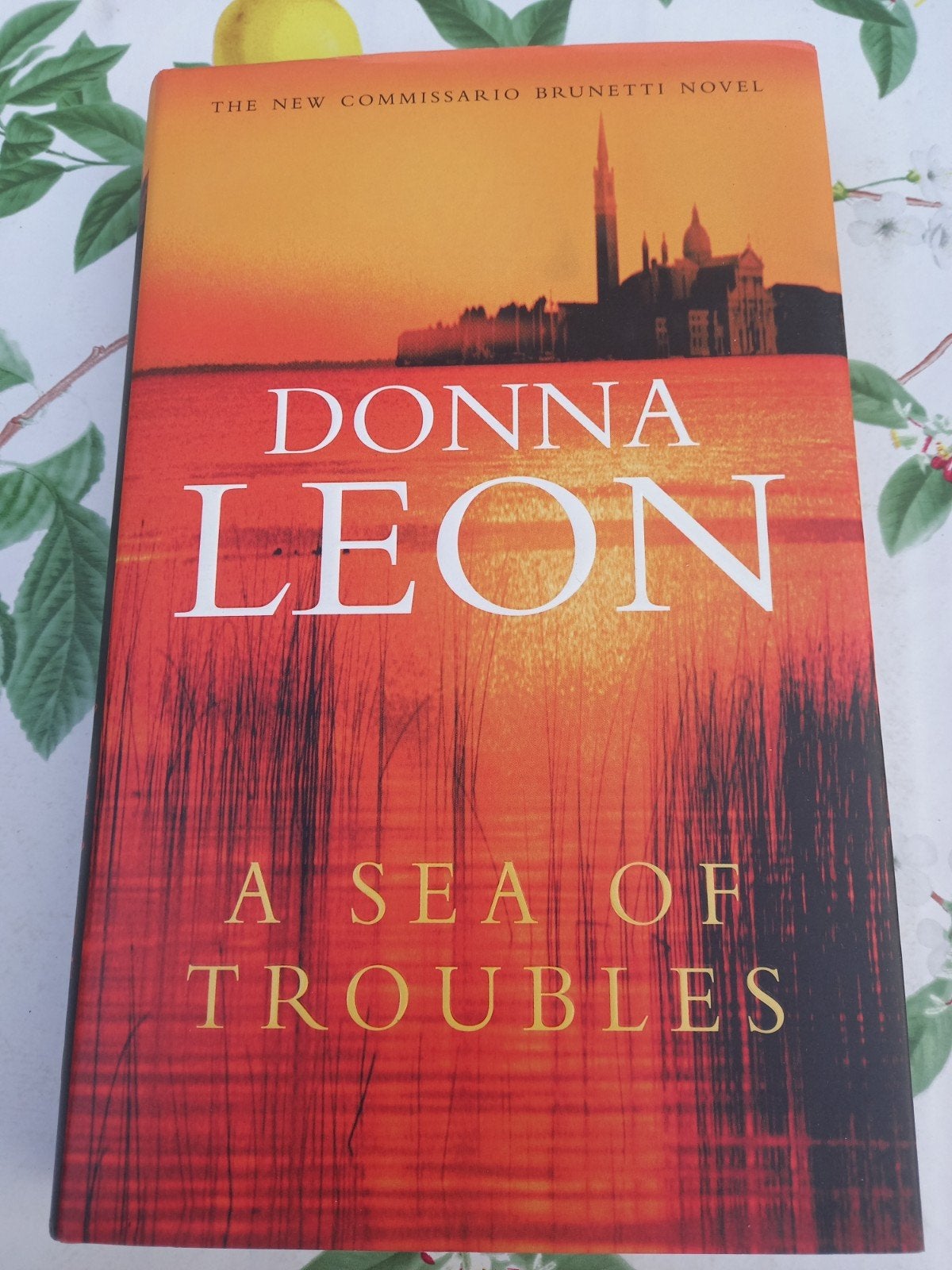 M9 Donna Leon - A Sea of Troubles (Commissario Brunetti), Ophalen of Verzenden, Zo goed als nieuw, Donna Leon