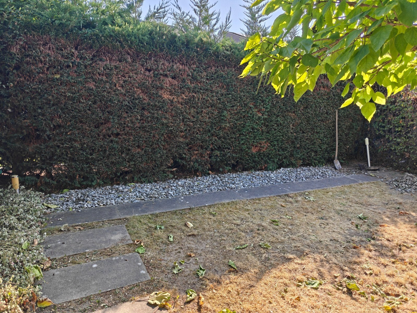 Gratis natuurstenen / keien – zelf uitgraven en ophalen, Ophalen, Gebruikt, Grijs, Kei