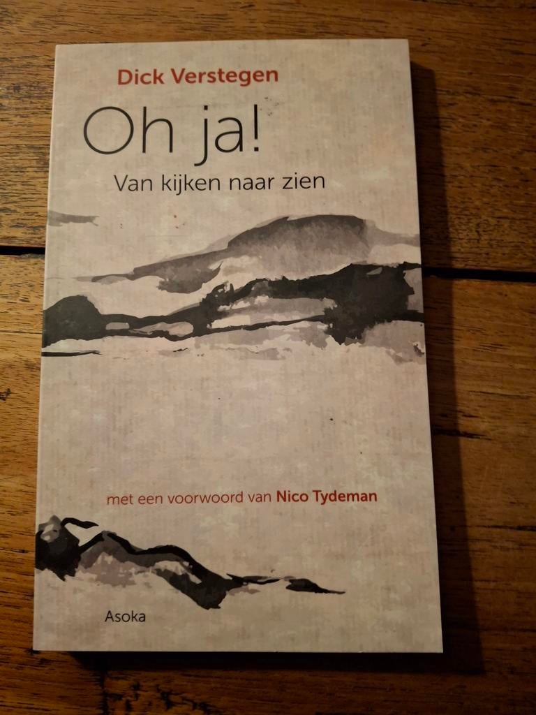 Dick Verstegen - Oh, ja!, Ophalen of Verzenden, Zo goed als nieuw, Dick Verstegen