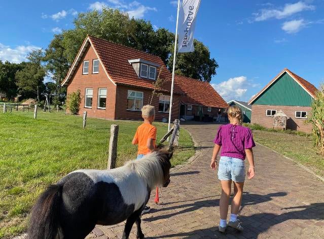 Vakantiewoning De Iemhoeve, 4 of meer slaapkamers, In bos, Overijssel, Landelijk