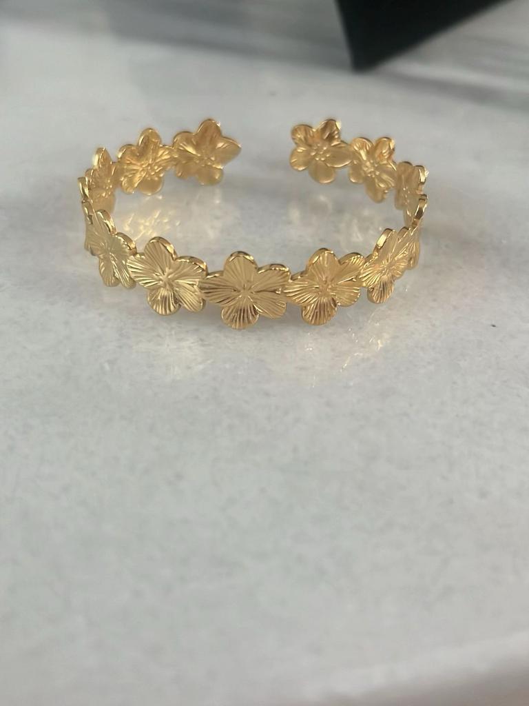 Bangle stainlesssteel, Ophalen of Verzenden, Nieuw, Goud, Overige materialen