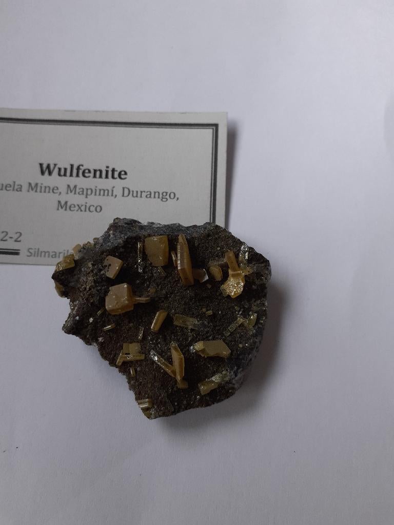 MINERALEN AAN 50%, Ophalen, Mineraal