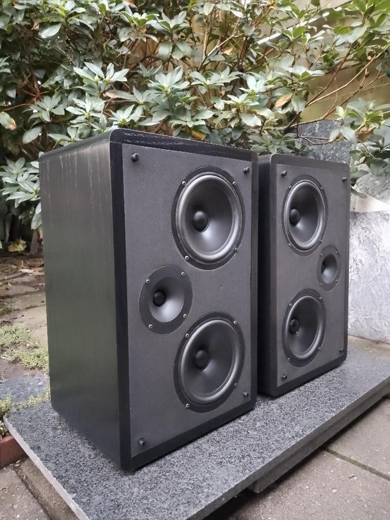 AUDIX HRM-2 vintage studio monitoren, Gebruikt, 120 watt of meer, Front, Rear of Stereo speakers, Ophalen
