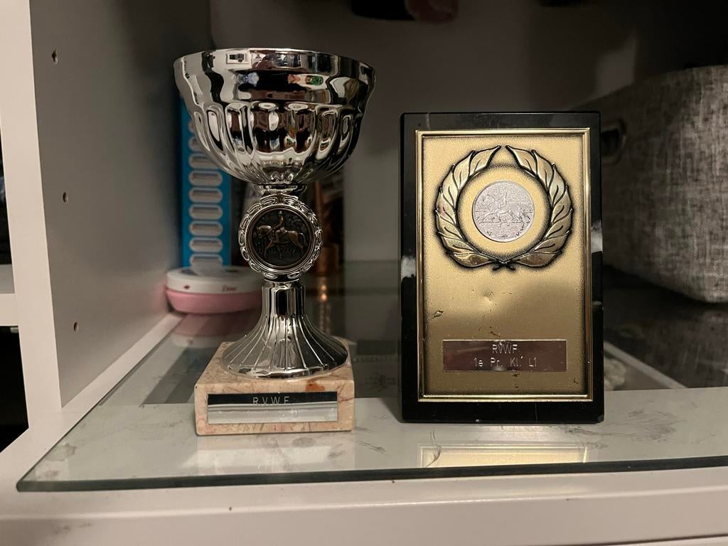 Twee vintage RVWF trofeeën, Ophalen of Verzenden