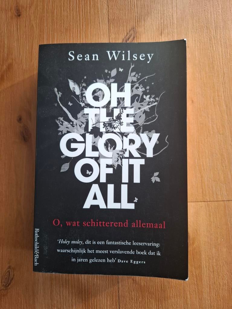 Oh The Glory Of It All - Sean Wilsey, Ophalen of Verzenden, Zo goed als nieuw, Sean Wilsey, Nederland