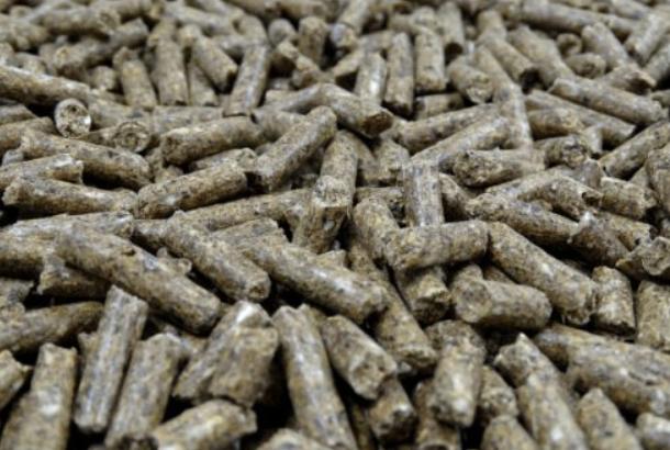 schapen en geiten korrel 10kg, Dieren en Toebehoren, Schapen, Geiten en Varkens, Meerdere dieren, Schaap, 3 tot 5 jaar