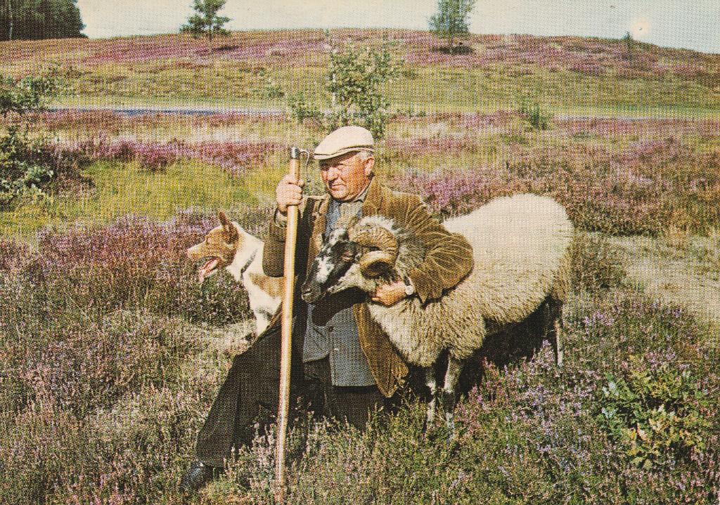 Groeten uit Borger 1974, Verzenden, 1960 tot 1980, Gelopen, Drenthe