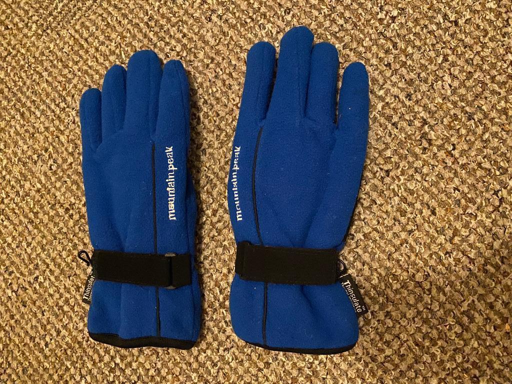 Thinsulate handschoenen blauw maat L: Nieuw, Ophalen of Verzenden, Nieuw, Maat 52/54 (L), Handschoenen