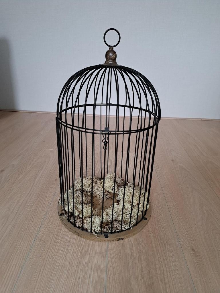 vogelkooi sier, Ophalen, Zo goed als nieuw