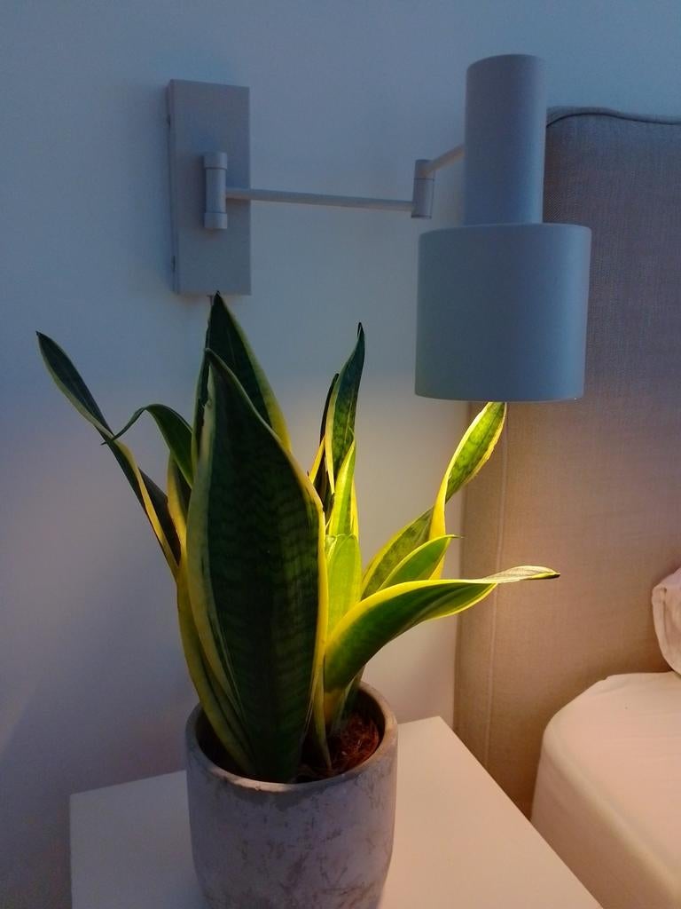 Wandlamp Nordin Karwei, Ophalen, Zo goed als nieuw, Scandinavisch
