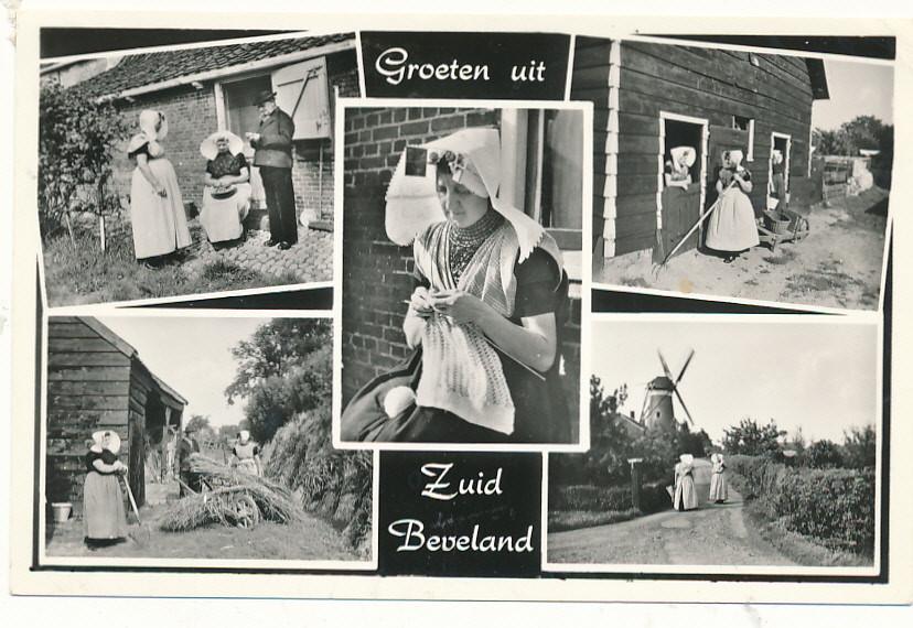 11027 Groeten uit Zuid Beveland, Ophalen of Verzenden, 1940 tot 1960, Zeeland
