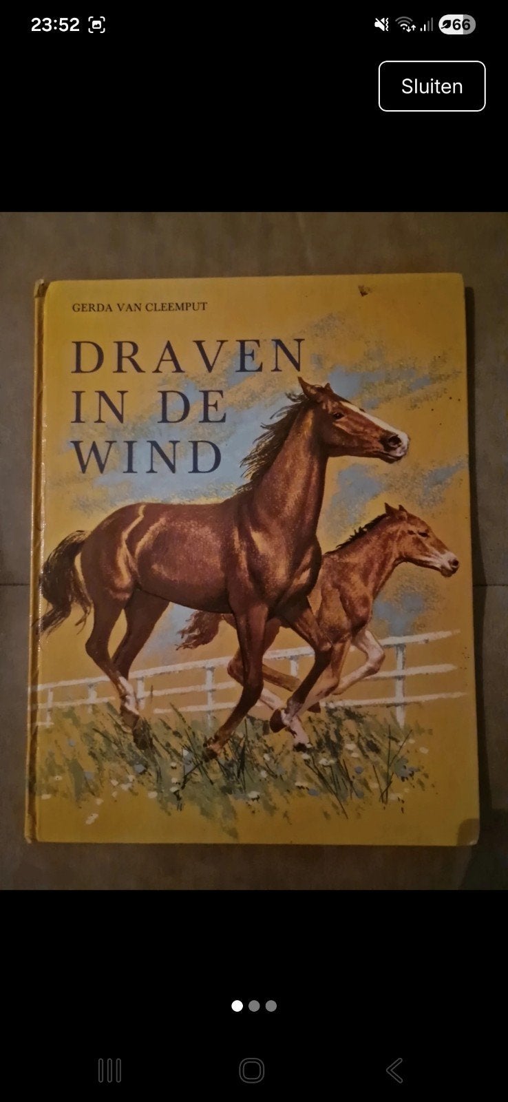 Draven in de Wind - Gerda van Cleemput (Paardenboek), Boeken, Ophalen of Verzenden, Zo goed als nieuw, Gerda van Cleemput, Fictie algemeen