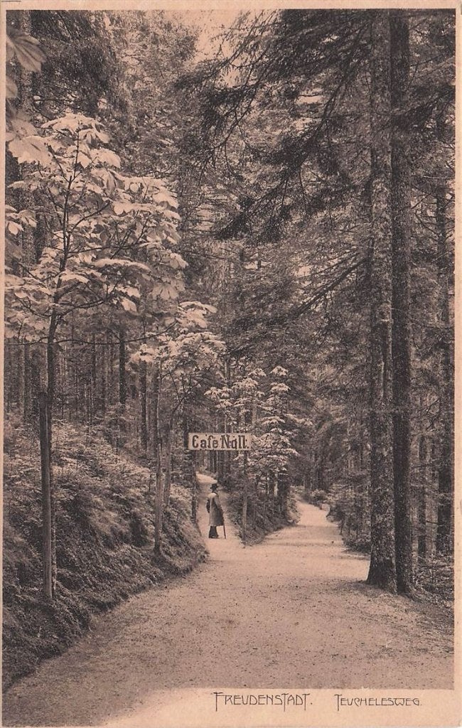703-288-007 Freudenstadt, Verzenden, Voor 1920, Duitsland