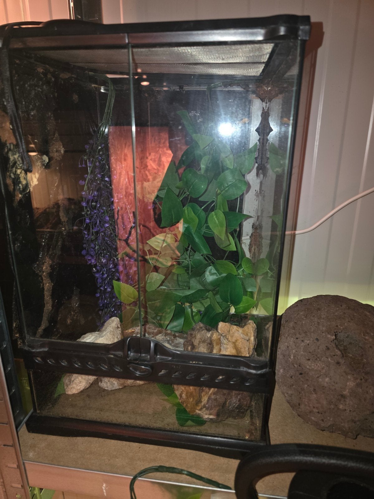 Terrarium, Ophalen