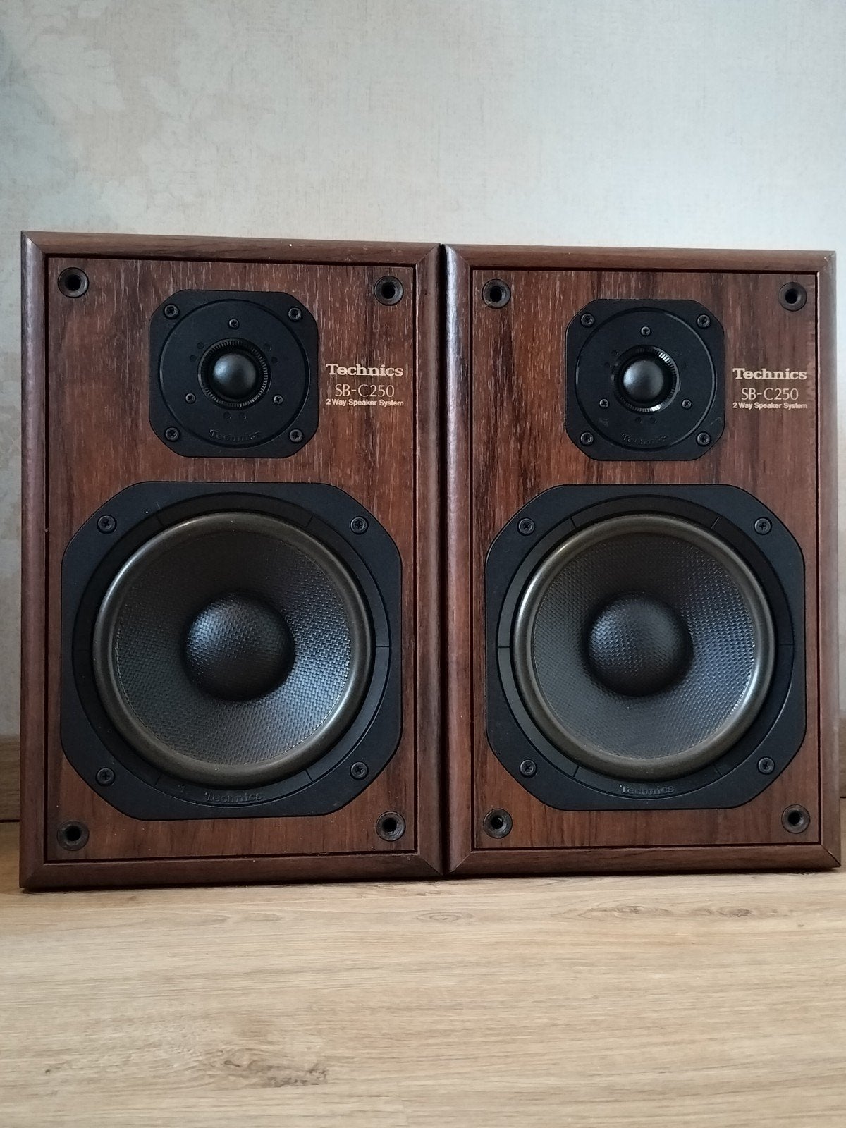 Technics SB-C250 Speakers Vintage Bookshelf, Ophalen of Verzenden, Zo goed als nieuw, 60 tot 120 watt, Overige merken