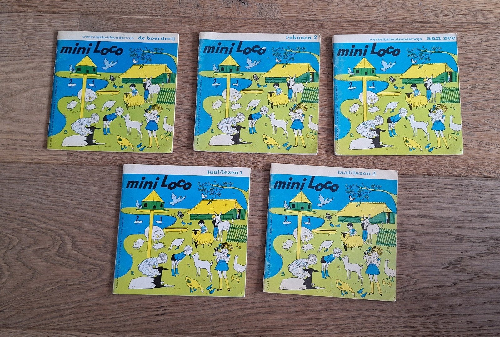 5 verschillende mini loco boekjes, Kinderen en Baby's, Speelgoed | Educatief en Creatief, Ophalen of Verzenden