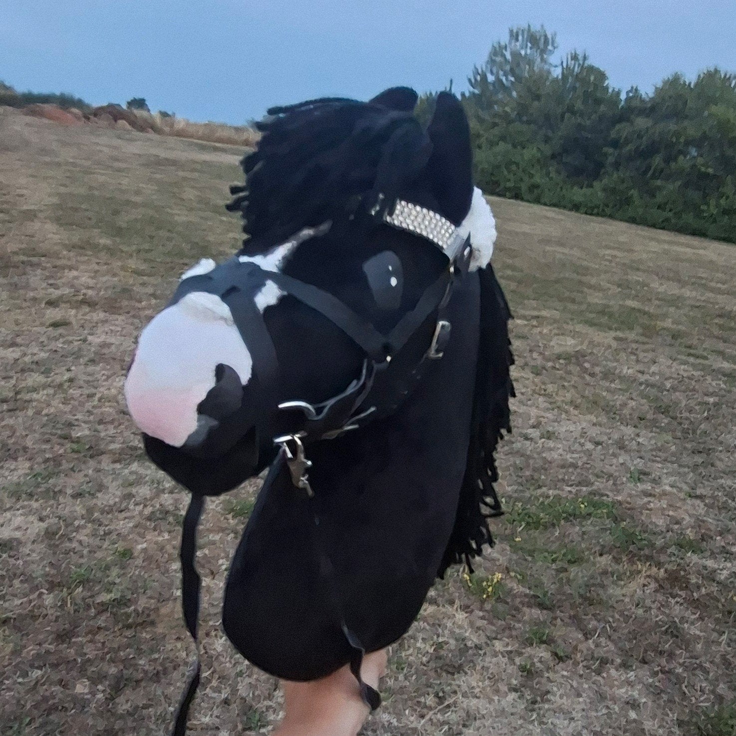 hobbyhorse mexicaans hoofdstel, Hobby en Vrije tijd, Ophalen of Verzenden, Zo goed als nieuw