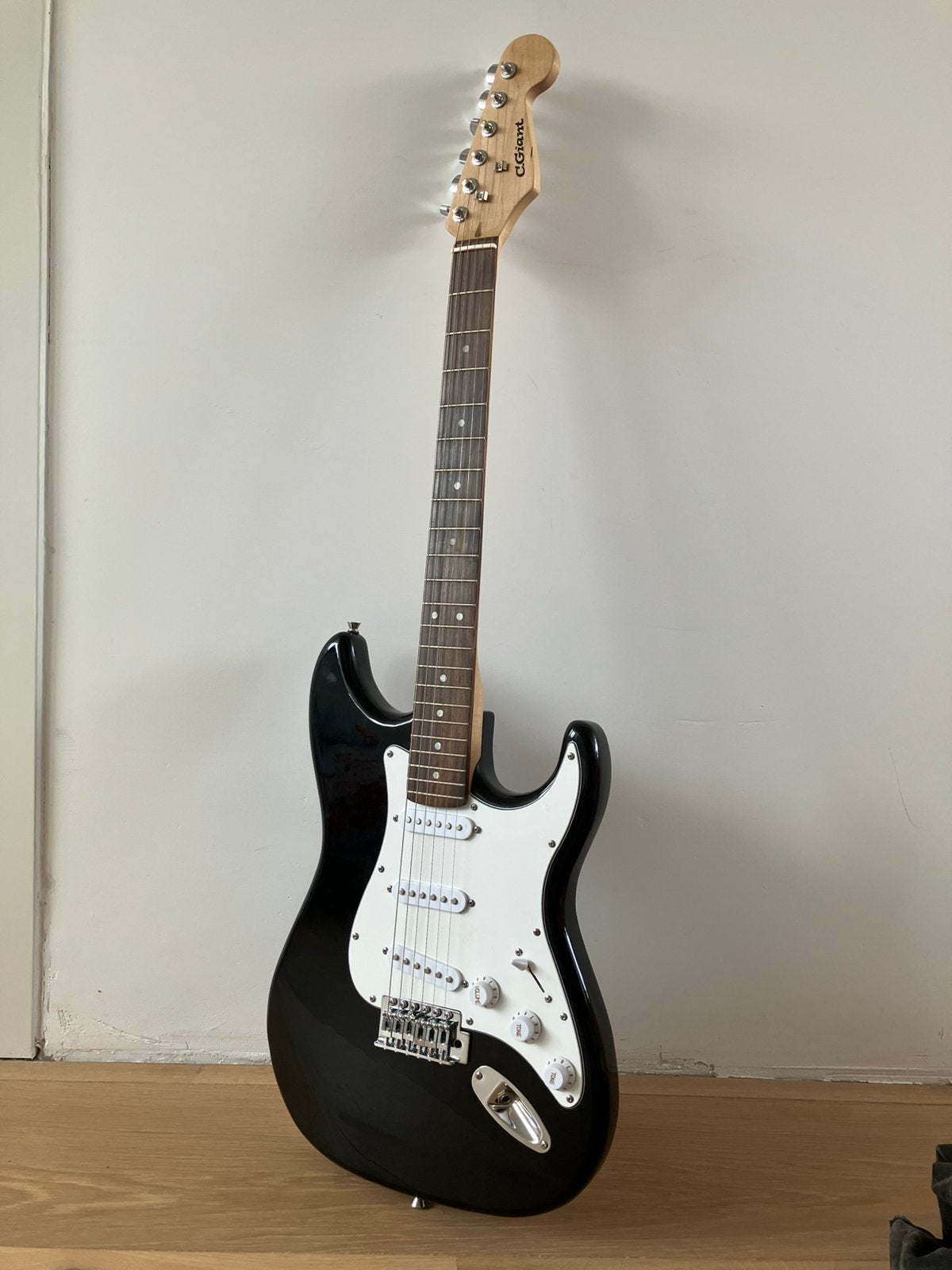 Electrische gitaar, versterker en microfoon