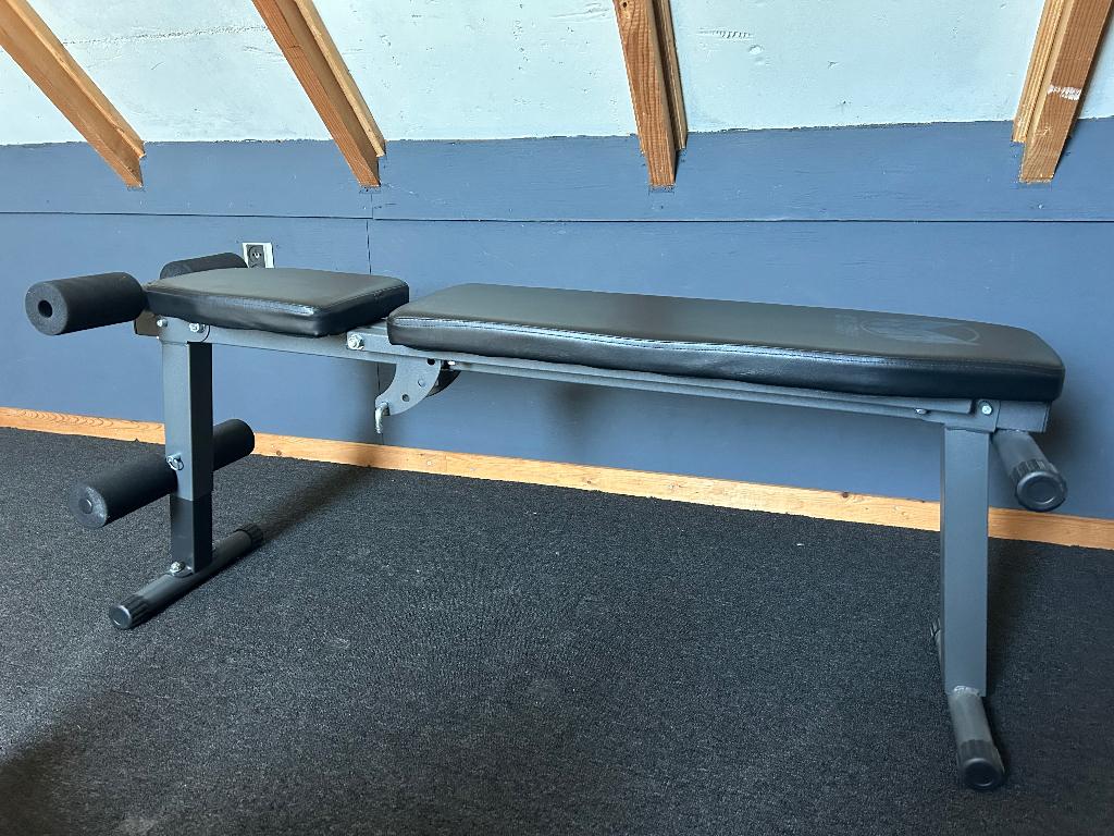 Gyronetics buikspier- en halterbank, Sport en Fitness, Fitnessmaterialen, Ophalen, Zo goed als nieuw, Buik, Fitnessbank
