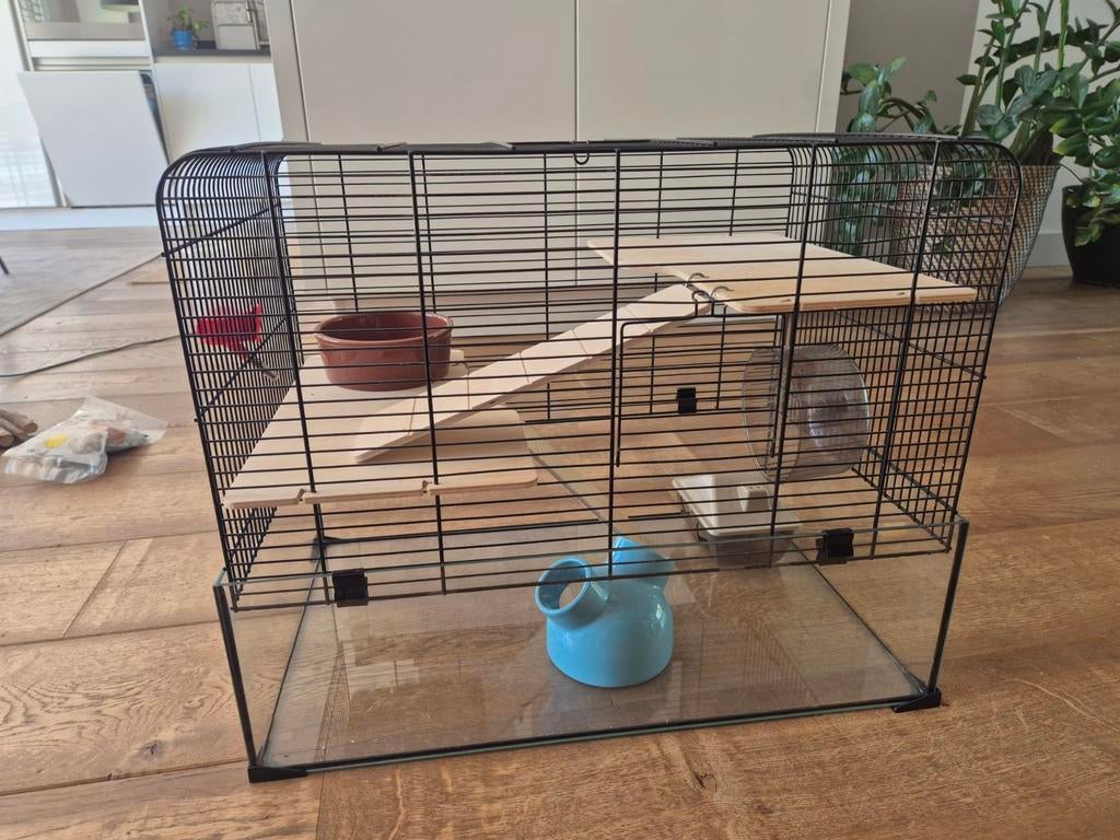 Hamsterkooi met glazen bak, Kooi, Minder dan 75 cm, Zo goed als nieuw, Hamster
