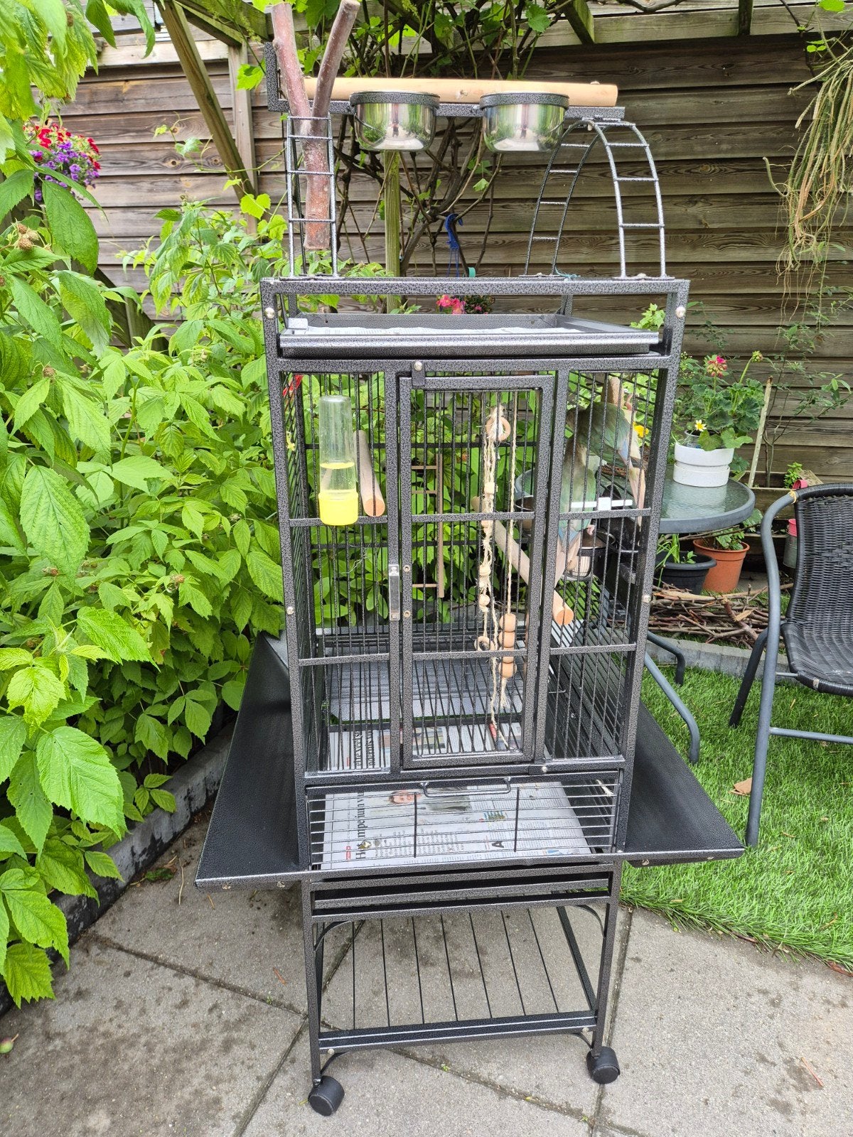 2 prachtige Pyrrhura's inclusief kooi, Meerdere dieren, Parkiet