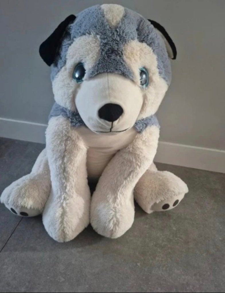 Mooie grote hond knuffel, Overige karakters, Ophalen of Verzenden, Gebruikt, Hond