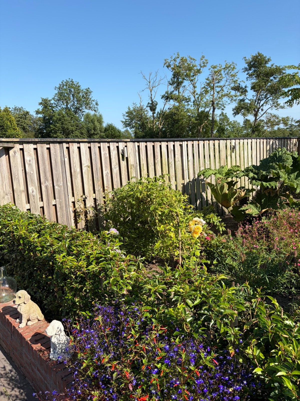 Schutting, Tuin en Terras, Ophalen, 6 meter of meer, Hout, 1 tot 2 meter