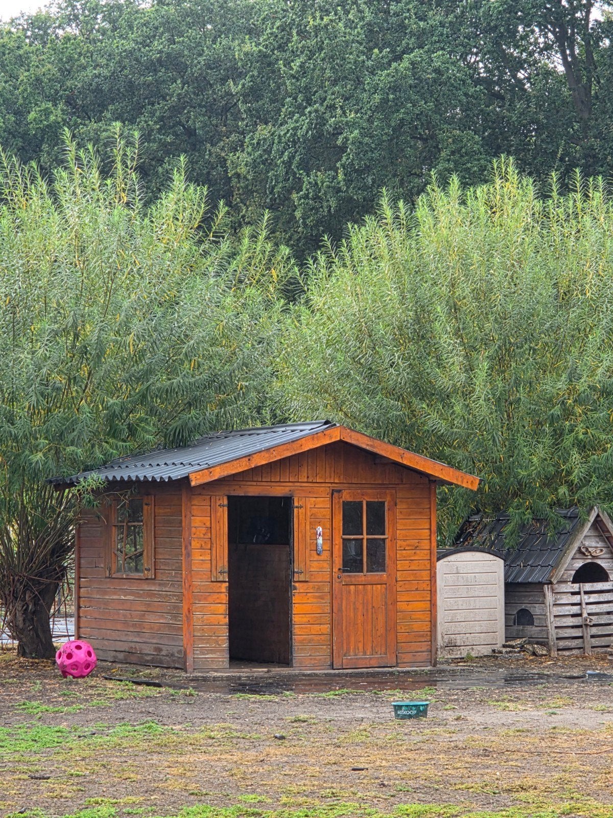 Schuilstal/blokhut, Ophalen, 250 tot 500 cm, Overige typen, Hout
