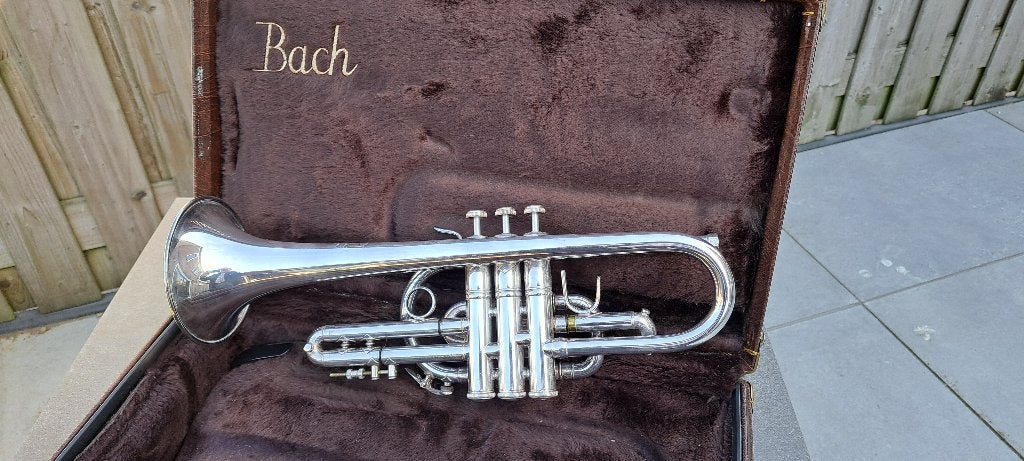 muziek en instrumenten, Ophalen, Zo goed als nieuw, Trompet